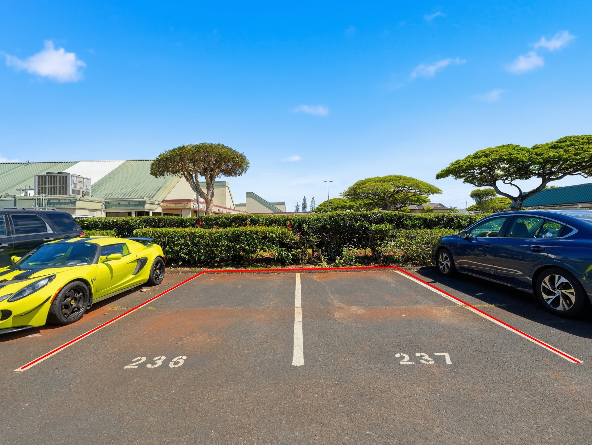 Assigned parking stalls 236 and 237 near community shopping