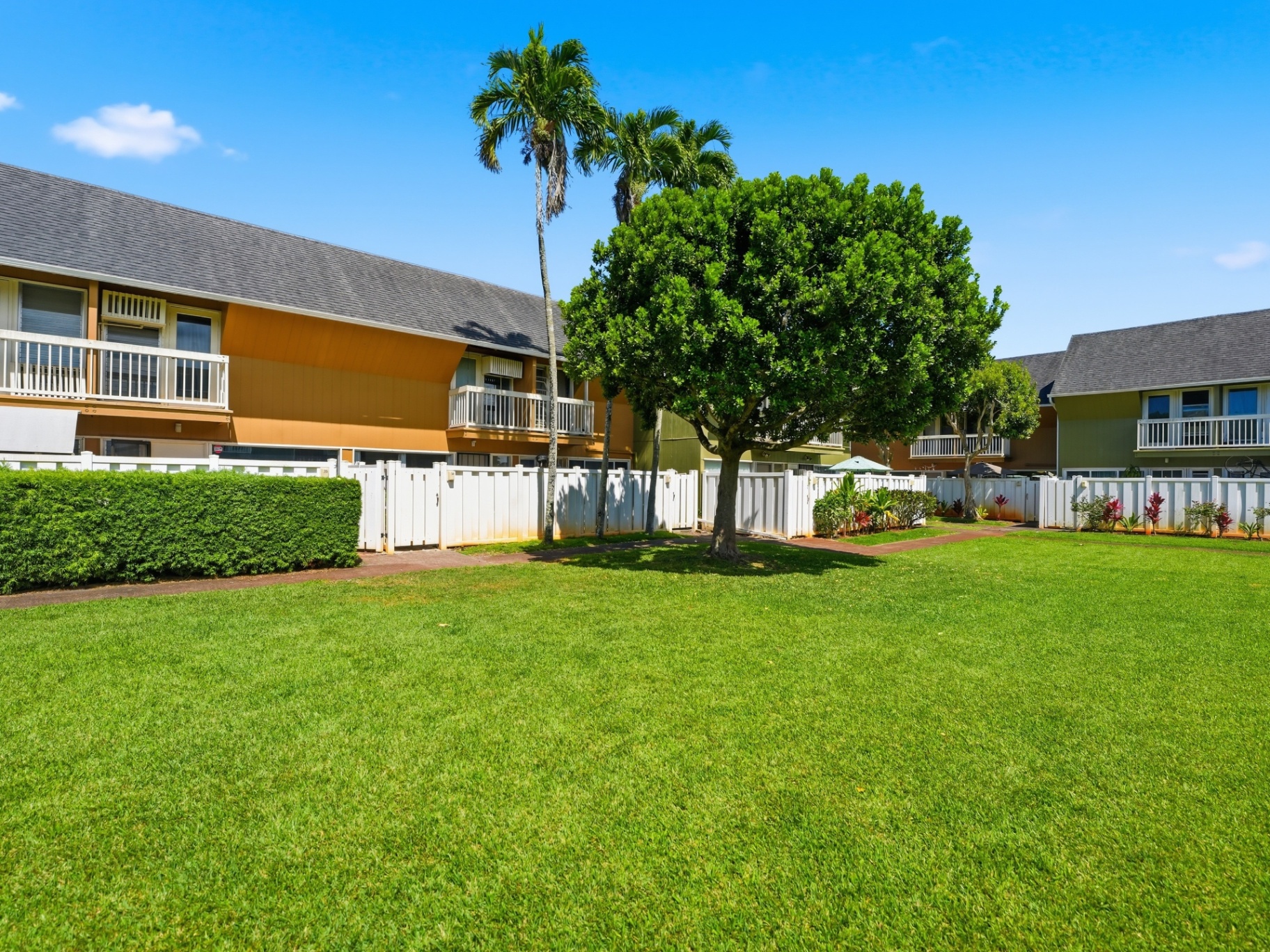 Expansive grassy common area with mature shade tree and palms
